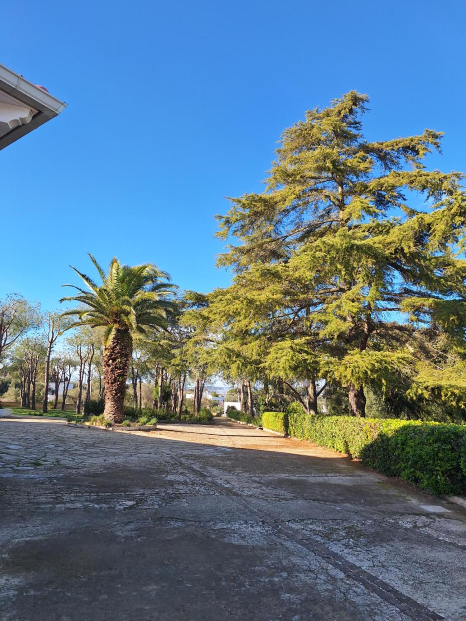 Holiday Home Trullo Antico Ostuni Exterior foto